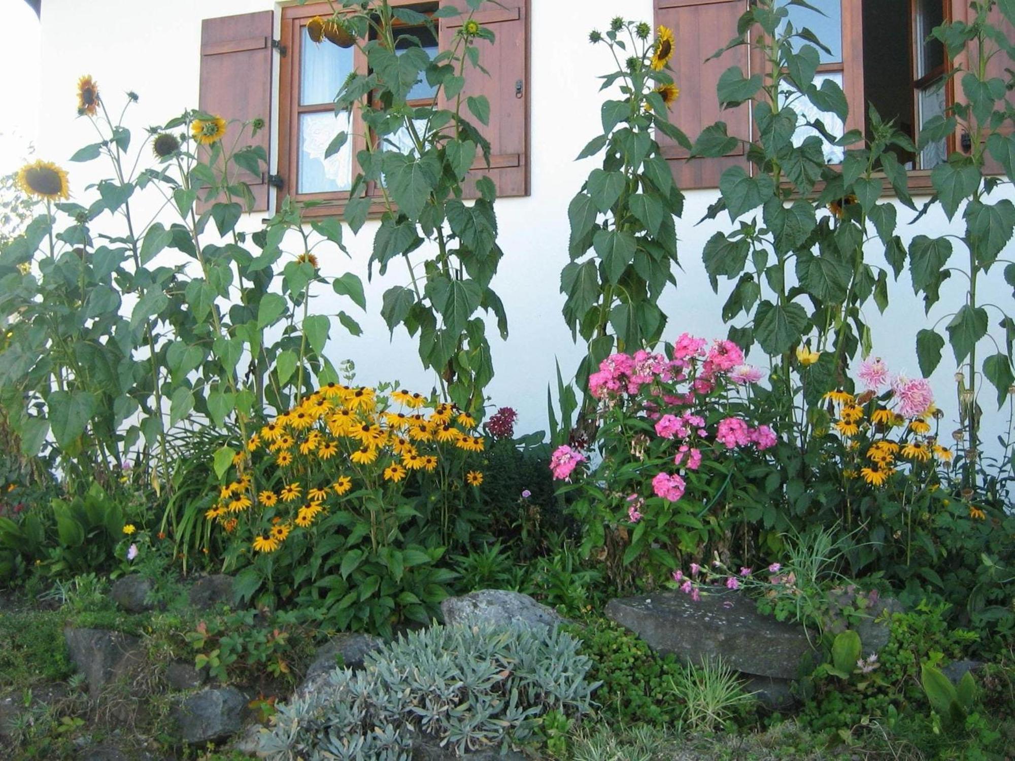 Apartment In The Allg U With View Of The Bavarian Alps 베른보이렌 외부 사진